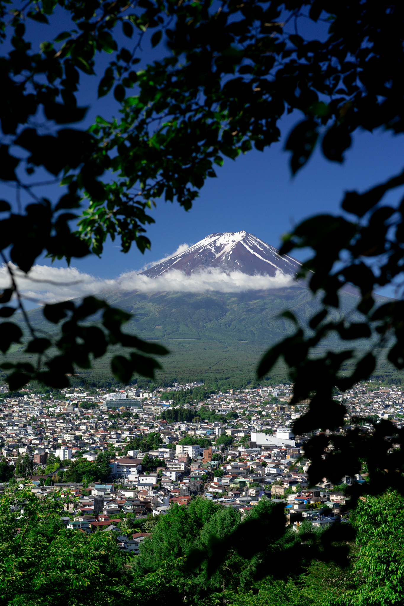 富士山五重塔写真どこ？新倉山浅間公園